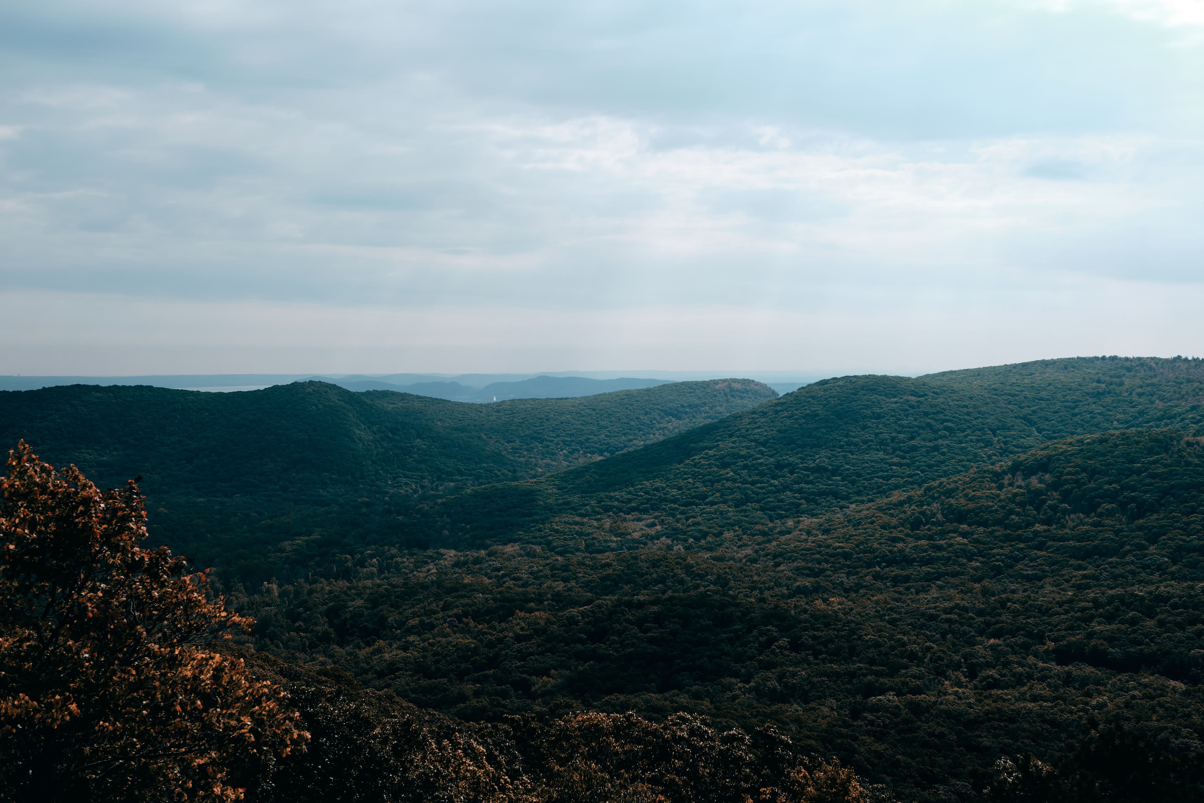 Misty forested ridgeline in the Arkansas hill country