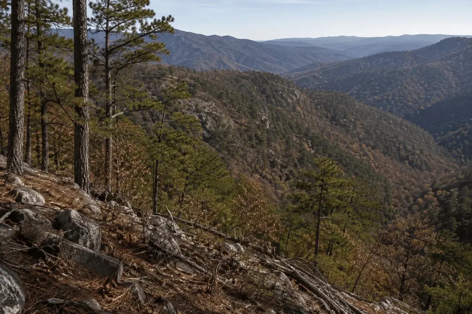 Pine-covered mountain ridgelines in the Arkansas Ouachitas